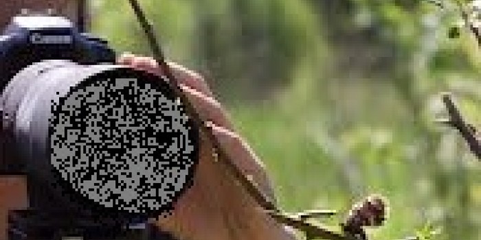 Cass. Pen., Sez. V, Sent. 12.07/19.10.2012, n° 41021