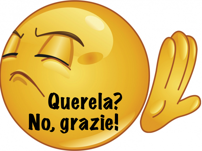 Incostituzionalità dell'opposizione al d.p.c.